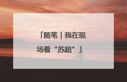 随笔｜我在现场看“苏超”