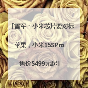 雷军：小米芯片要对标苹果，小米15SPro售价5499元起