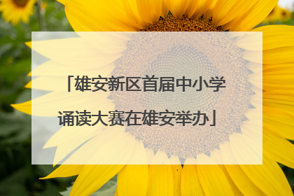 雄安新区首届中小学诵读大赛在雄安举办