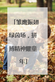 雏鹰振翅绿茵场，拼搏精神耀童年