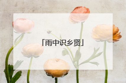 雨中识乡贤