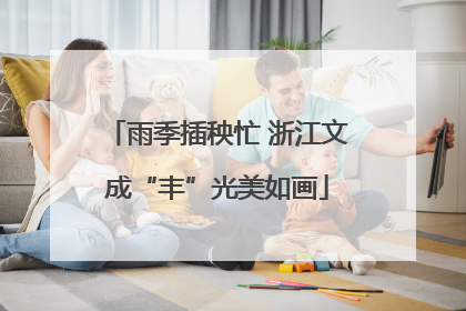 雨季插秧忙 浙江文成“丰”光美如画