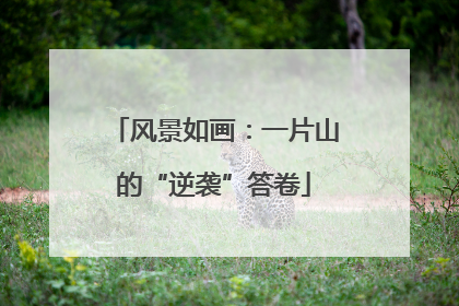 风景如画：一片山的“逆袭”答卷