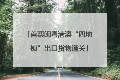 首票闽粤港澳“四地一锁”出口货物通关