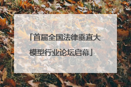 首届全国法律垂直大模型行业论坛启幕