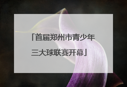 首届郑州市青少年三大球联赛开幕