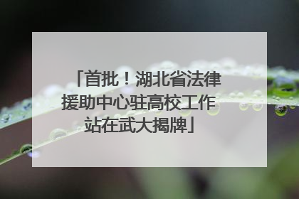 首批！湖北省法律援助中心驻高校工作站在武大揭牌