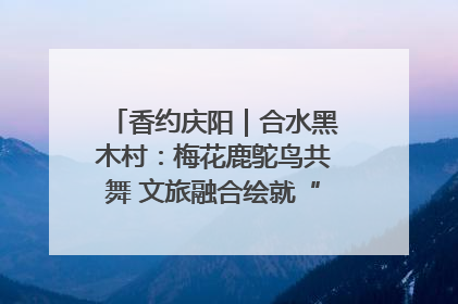 香约庆阳｜合水黑木村：梅花鹿鸵鸟共舞 文旅融合绘就“诗与远方”