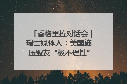 香格里拉对话会｜瑞士媒体人：美国施压盟友“极不理性” 欧洲国家无意与中国“脱钩断链”