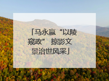 马永嬴“以陵窥政” 掠影文景治世风采
