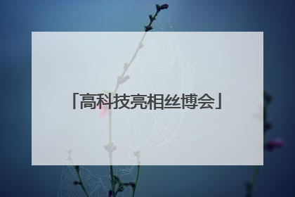 高科技亮相丝博会