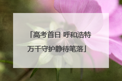 高考首日 呼和浩特万千守护静待笔落