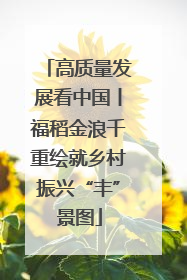 高质量发展看中国丨福稻金浪千重绘就乡村振兴“丰”景图