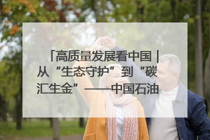 高质量发展看中国｜从“生态守护”到“碳汇生金”——中国石油大庆油田绿色蝶变