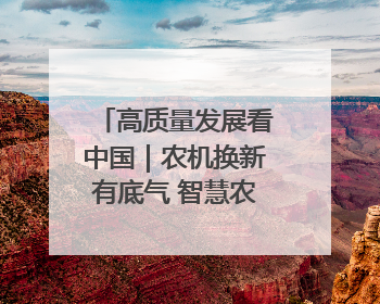 高质量发展看中国｜农机换新有底气 智慧农业更可观
