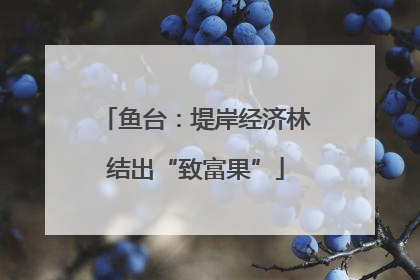 鱼台：堤岸经济林结出“致富果”