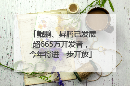 鲲鹏、昇腾已发展超665万开发者，今年将进一步开放