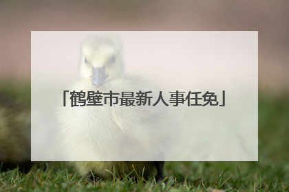 鹤壁市最新人事任免