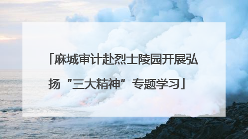 麻城审计赴烈士陵园开展弘扬“三大精神”专题学习