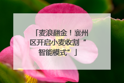 麦浪翻金！襄州区开启小麦收割“智能模式”