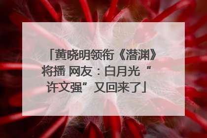 黄晓明领衔《潜渊》将播 网友：白月光“许文强”又回来了
