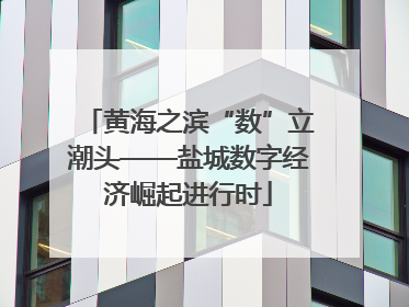 黄海之滨“数”立潮头——盐城数字经济崛起进行时