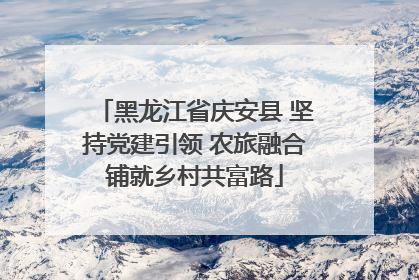 黑龙江省庆安县 坚持党建引领 农旅融合铺就乡村共富路