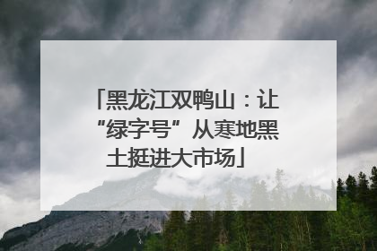 黑龙江双鸭山：让“绿字号”从寒地黑土挺进大市场
