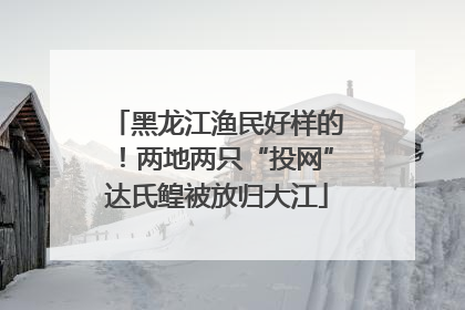 黑龙江渔民好样的！两地两只“投网”达氏鳇被放归大江