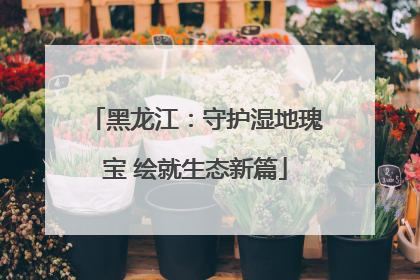 黑龙江：守护湿地瑰宝 绘就生态新篇