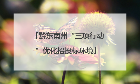 黔东南州“三项行动”优化招投标环境