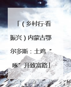 （乡村行·看振兴）内蒙古鄂尔多斯：土鸡“啄”开致富路
