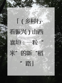 （乡村行·看振兴）山西襄垣：一粒“米”的新“稻”路