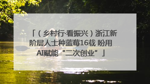 （乡村行·看振兴）浙江新阶层人士种蓝莓16载 盼用AI赋能“二次创业”
