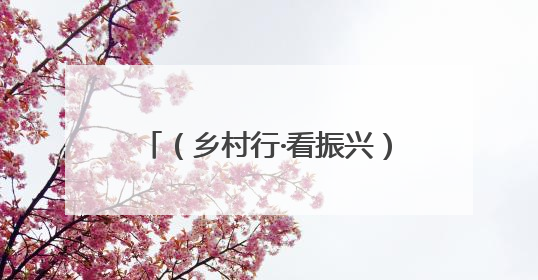 （乡村行·看振兴）陕西留坝：“满山绿”如何变“口袋金”？