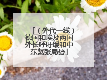 （外代一线）德国和埃及两国外长呼吁缓和中东紧张局势
