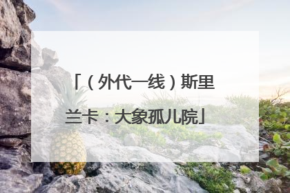 （外代一线）斯里兰卡：大象孤儿院