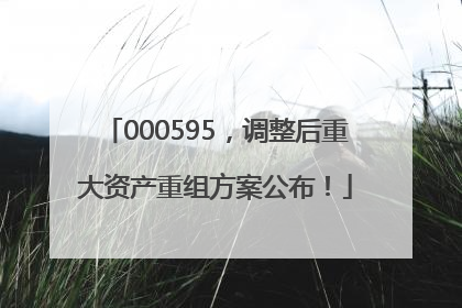 000595，调整后重大资产重组方案公布！