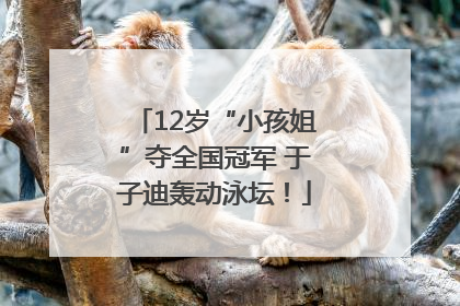 12岁“小孩姐”夺全国冠军 于子迪轰动泳坛！