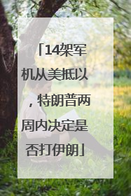 14架军机从美抵以，特朗普两周内决定是否打伊朗