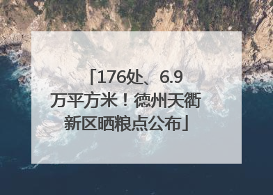 176处、6.9万平方米！德州天衢新区晒粮点公布