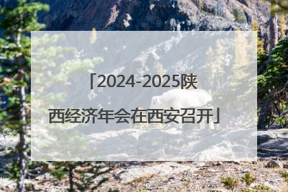 2024-2025陕西经济年会在西安召开