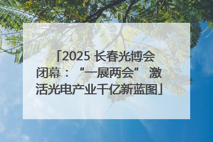 2025 长春光博会闭幕：“一展两会” 激活光电产业千亿新蓝图