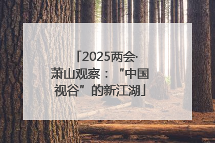 2025两会·萧山观察：“中国视谷”的新江湖