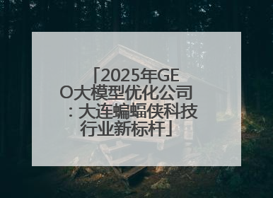 2025年GEO大模型优化公司：大连蝙蝠侠科技行业新标杆