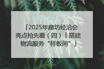 2025年廊坊经洽会亮点抢先看（四）丨搭建物流服务“样板间”