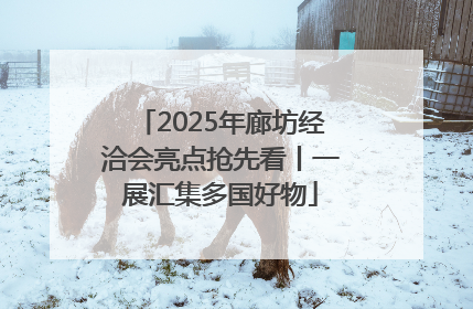 2025年廊坊经洽会亮点抢先看丨一展汇集多国好物
