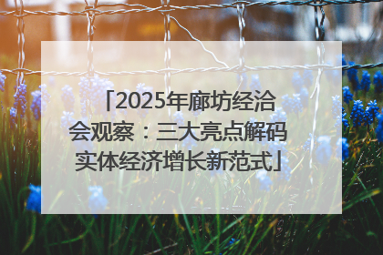 2025年廊坊经洽会观察：三大亮点解码实体经济增长新范式