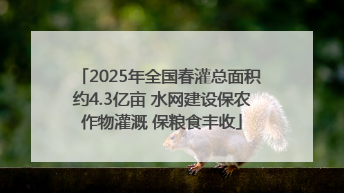 2025年全国春灌总面积约4.3亿亩 水网建设保农作物灌溉 保粮食丰收
