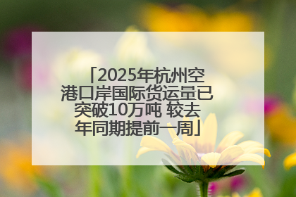 2025年杭州空港口岸国际货运量已突破10万吨 较去年同期提前一周